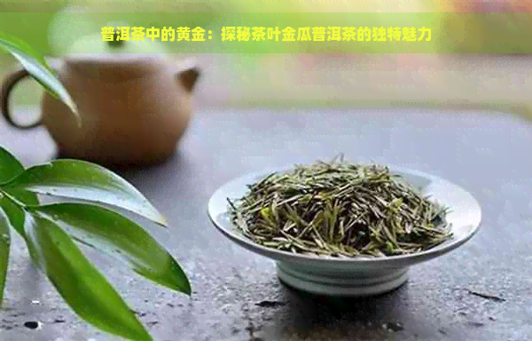 普洱茶中的黄金：探秘茶叶金瓜普洱茶的独特魅力