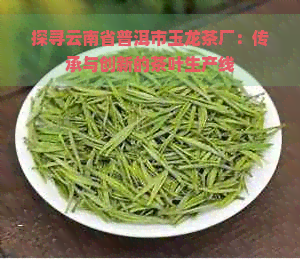 探寻云南省普洱市玉龙茶厂：传承与创新的茶叶生产线