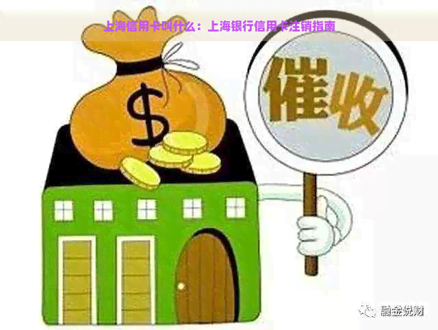 上海信用卡叫什么：上海银行信用卡注销指南