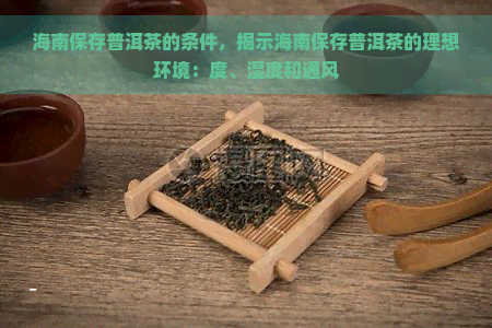 海南保存普洱茶的条件，揭示海南保存普洱茶的理想环境：度、湿度和通风