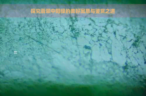 探究翡翠中阳绿的美好寓意与鉴赏之道