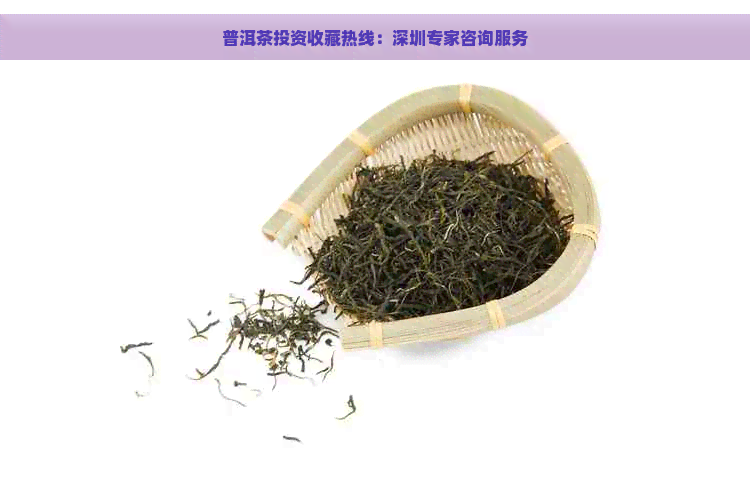 普洱茶投资收藏热线：深圳专家咨询服务