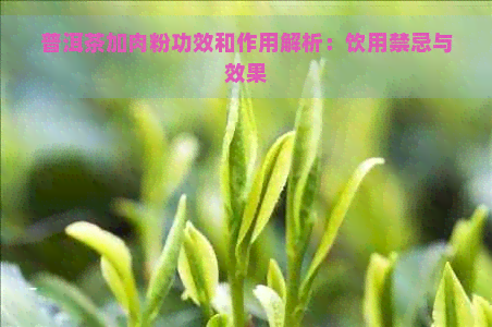 普洱茶加肉粉功效和作用解析：饮用禁忌与效果