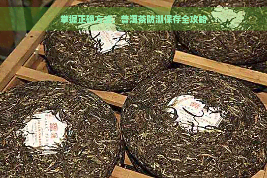 掌握正确方法，普洱茶防潮保存全攻略