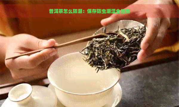 普洱茶怎么防潮：保存防虫潮湿全指南