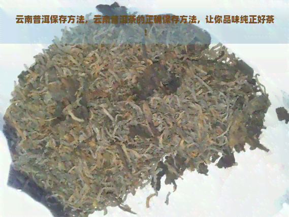 云南普洱保存方法，云南普洱茶的正确保存方法，让你品味纯正好茶！