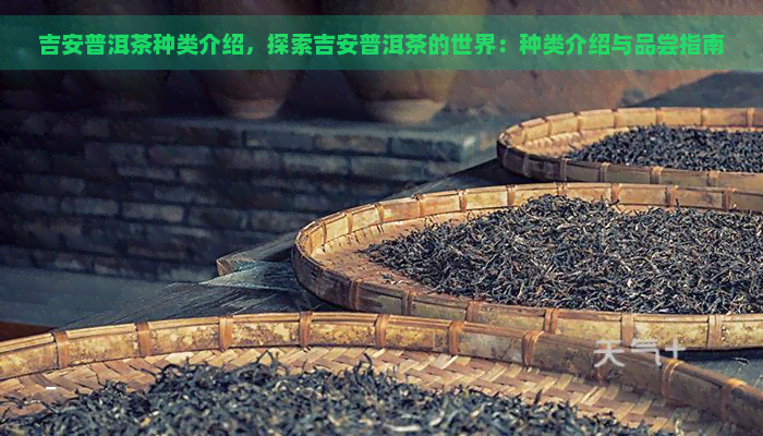 吉安普洱茶种类介绍，探索吉安普洱茶的世界：种类介绍与品尝指南