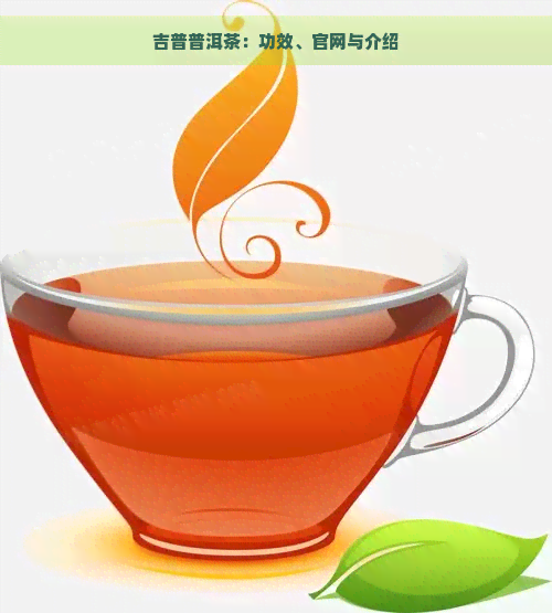 吉普普洱茶：功效、官网与介绍