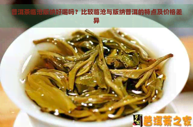 普洱茶临沧版纳好喝吗？比较临沧与版纳普洱的特点及价格差异