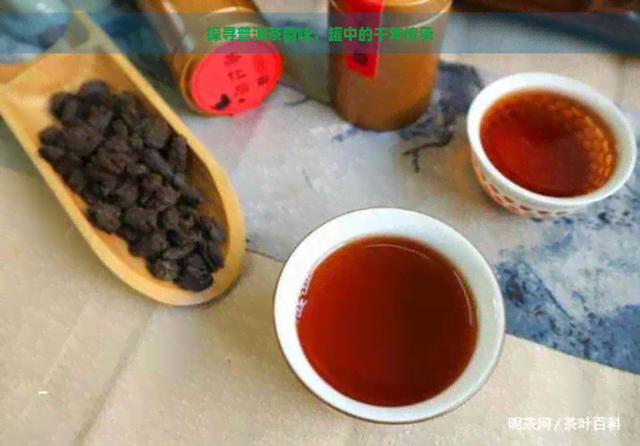 探寻普洱茶韵味：罐中的千年传承