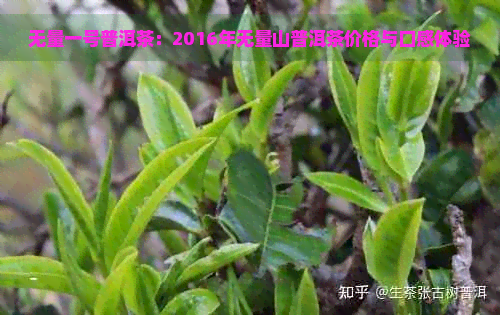 无量一号普洱茶：2016年无量山普洱茶价格与口感体验