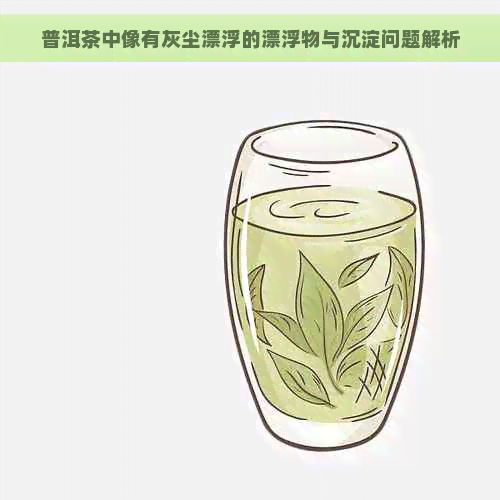 普洱茶中像有灰尘漂浮的漂浮物与沉淀问题解析