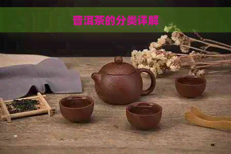 普洱茶的分类详解