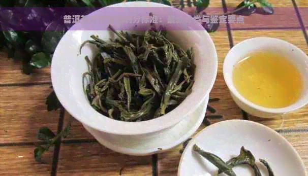 普洱茶外观等级划分标准：最新分类与鉴定要点