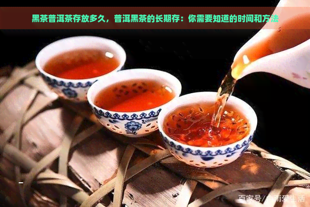 黑茶普洱茶存放多久，普洱黑茶的长期存：你需要知道的时间和方法