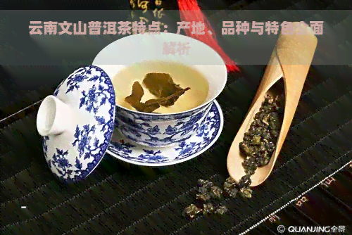 云南文山普洱茶特点：产地、品种与特色全面解析