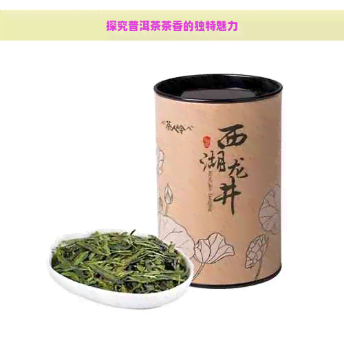 探究普洱茶茶香的独特魅力