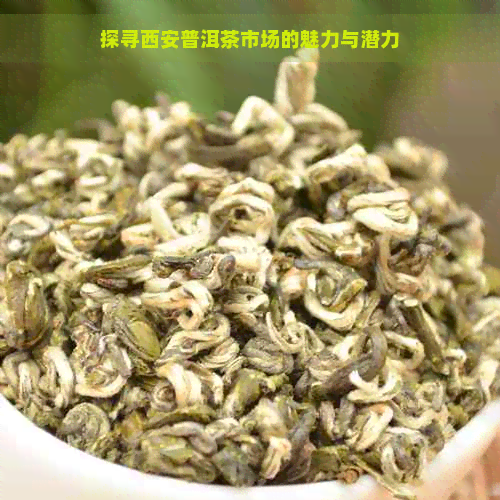 探寻西安普洱茶市场的魅力与潜力