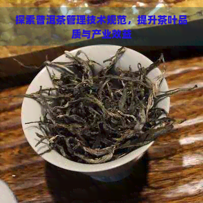 探索普洱茶管理技术规范，提升茶叶品质与产业效益