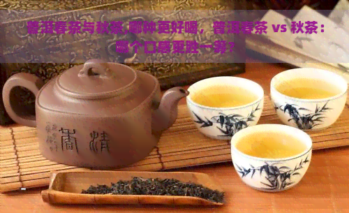 普洱春茶与秋茶,哪种更好喝，普洱春茶 vs 秋茶：哪个口感更胜一筹？