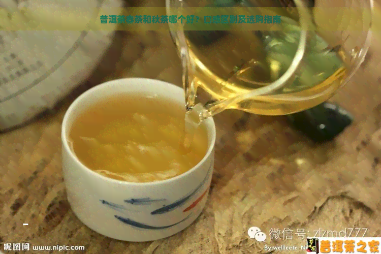 普洱茶春茶和秋茶哪个好？口感区别及选购指南