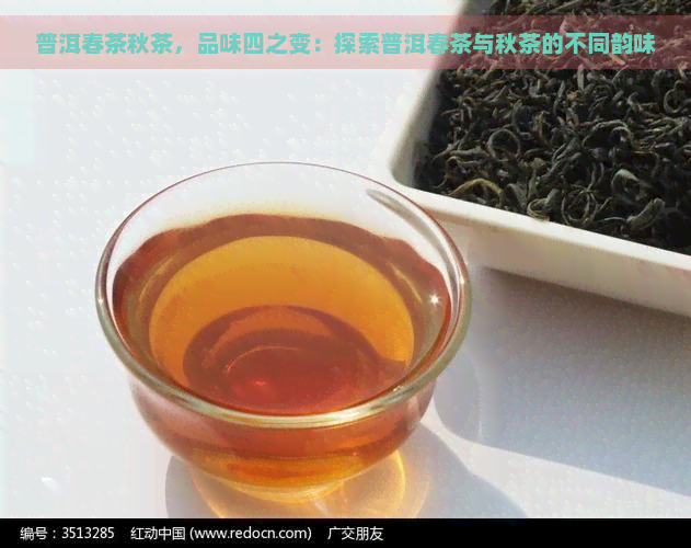 普洱春茶秋茶，品味四之变：探索普洱春茶与秋茶的不同韵味