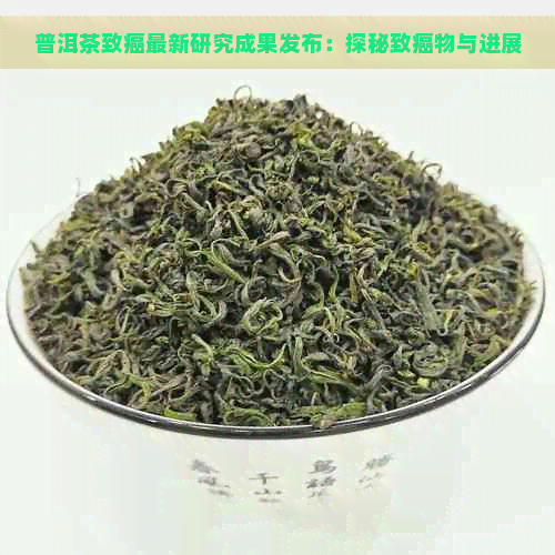 普洱茶致癌最新研究成果发布：探秘致癌物与进展