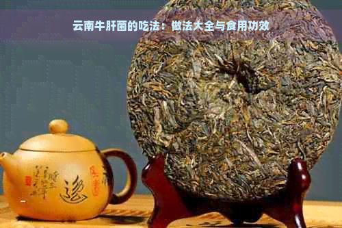 云南牛肝菌的吃法：做法大全与食用功效