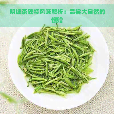 阴坡茶独特风味解析：品尝大自然的馈赠