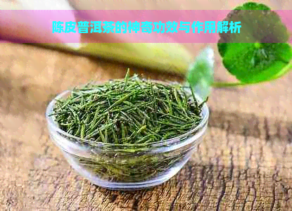 陈皮普洱茶的神奇功效与作用解析