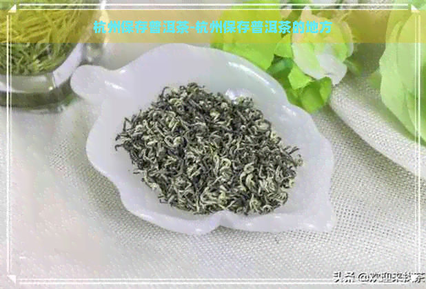 杭州保存普洱茶-杭州保存普洱茶的地方