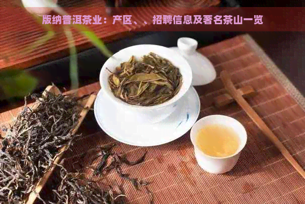 版纳普洱茶业：产区、、招聘信息及著名茶山一览