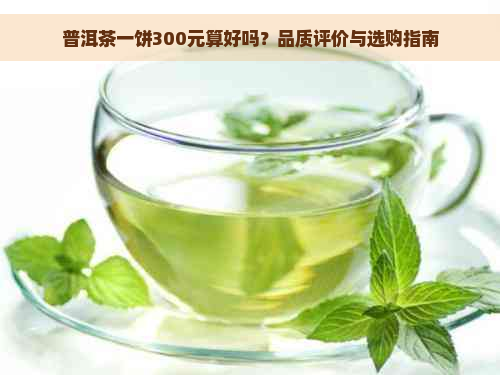 普洱茶一饼300元算好吗？品质评价与选购指南