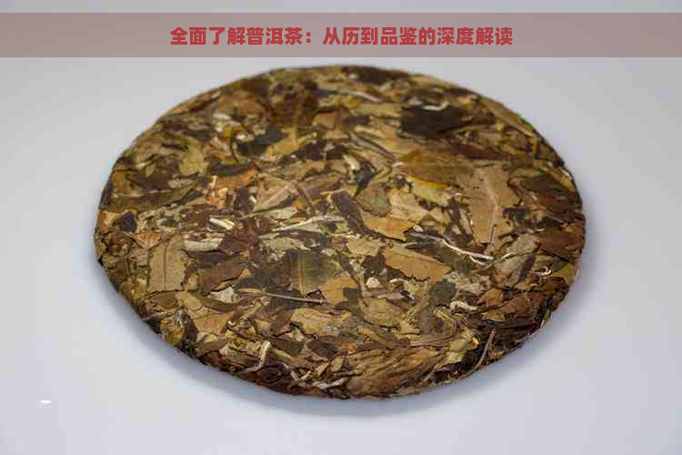 全面了解普洱茶：从历到品鉴的深度解读