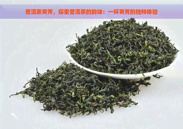 普洱茶黄芳，探索普洱茶的韵味：一杯黄芳的独特体验