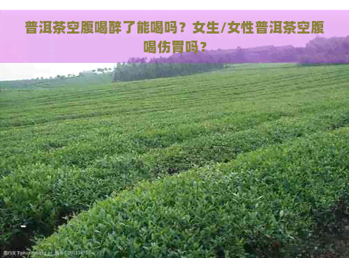 普洱茶空腹喝醉了能喝吗？女生/女性普洱茶空腹喝伤胃吗？