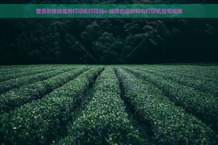 普洱茶棉纸能用打印机打印吗：选择合适材料与打印机型号指南