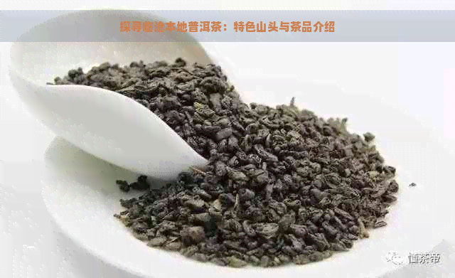 探寻临沧本地普洱茶：特色山头与茶品介绍