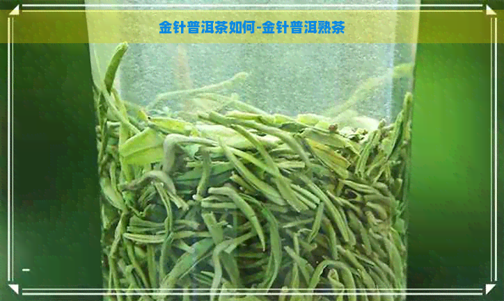 金针普洱茶如何-金针普洱熟茶