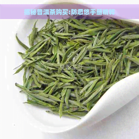 揭秘普洱茶购买:防忽悠手册精粹