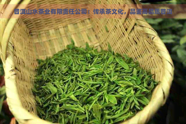 普洱山水茶业有限责任公司：传承茶文化，品鉴高品质普洱