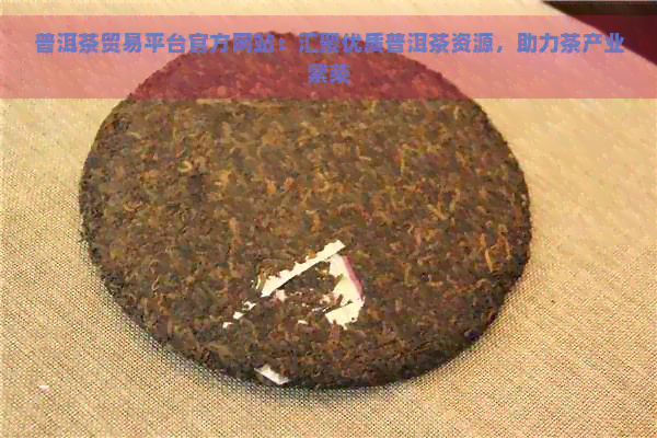 普洱茶贸易平台官方网站：汇聚优质普洱茶资源，助力茶产业繁荣