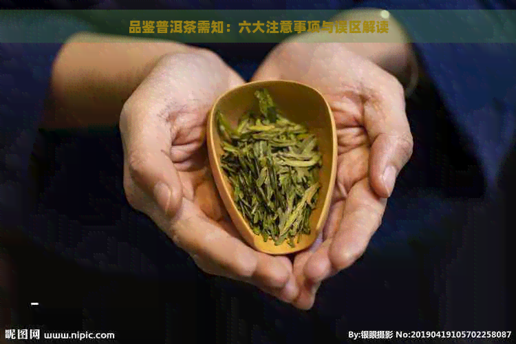 品鉴普洱茶需知：六大注意事项与误区解读