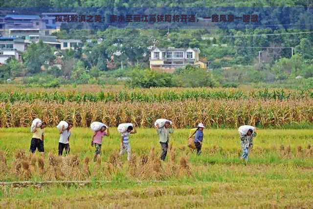 探寻黔滇之美：赤水至丽江高铁即将开通，一路风景一路歌