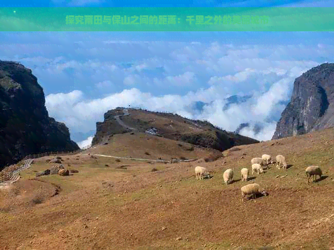 探究莆田与保山之间的距离：千里之外的美丽城市