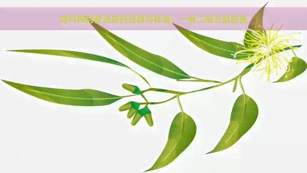 如何辨别普洱茶的品质与标准：一看二闻三品四鉴