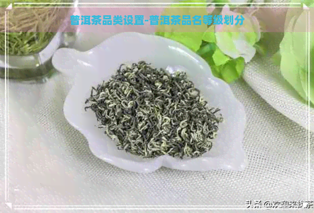 普洱茶品类设置-普洱茶品名等级划分