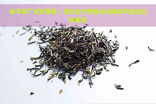 新平茶厂的历背景、茶叶生产调查与云南新平县古树茶概述