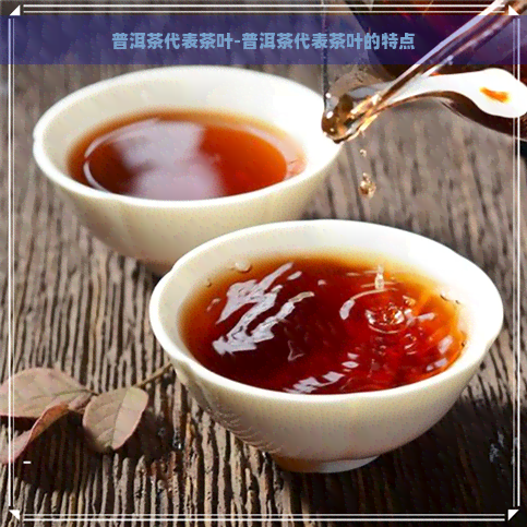 普洱茶代表茶叶-普洱茶代表茶叶的特点