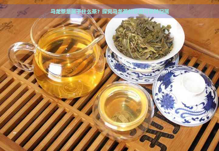 马龙茶是属于什么茶？探究马龙茶的茶类与茶种归属